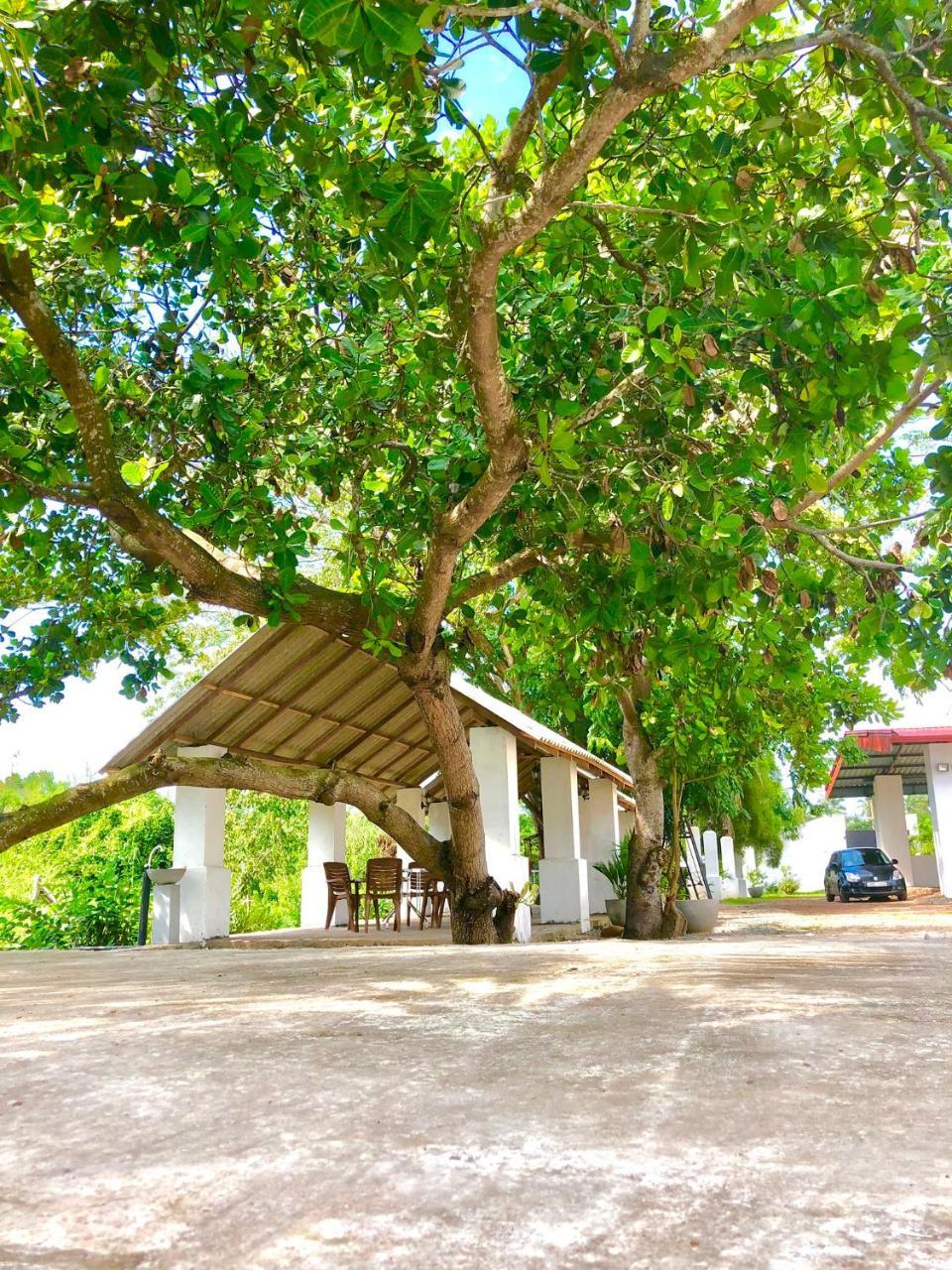 Riverside Hotel Katunayaka Exteriér fotografie